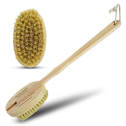 Bernard Jensen Natural Bristle Body Brush - 1 Brush for Dry Brushing, Exfoliation & Skin Care