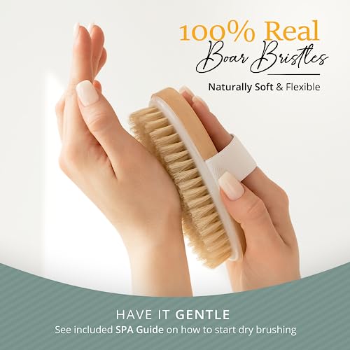 Belula Dry Brushing Body Brush Set - Natural Boar Bristle Body Brush, Exfoliating Face Brush & Bath Gloves - Ideal Dry Skin Brush for Lymphatic Drainage & Healthy Glowing Skin!