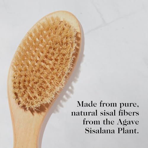 goop Beauty Dry Brush | Detoxifying Body Exfoliator | Wooden Handle with Natural Biodegradable Sisal Fibers | Sweeps Away Dead Skin | FSC Certified