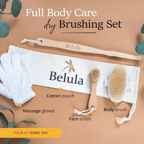 Belula Dry Brushing Body Brush Set - Natural Boar Bristle Body Brush, Exfoliating Face Brush & Bath Gloves - Ideal Dry Skin Brush for Lymphatic Drainage & Healthy Glowing Skin!