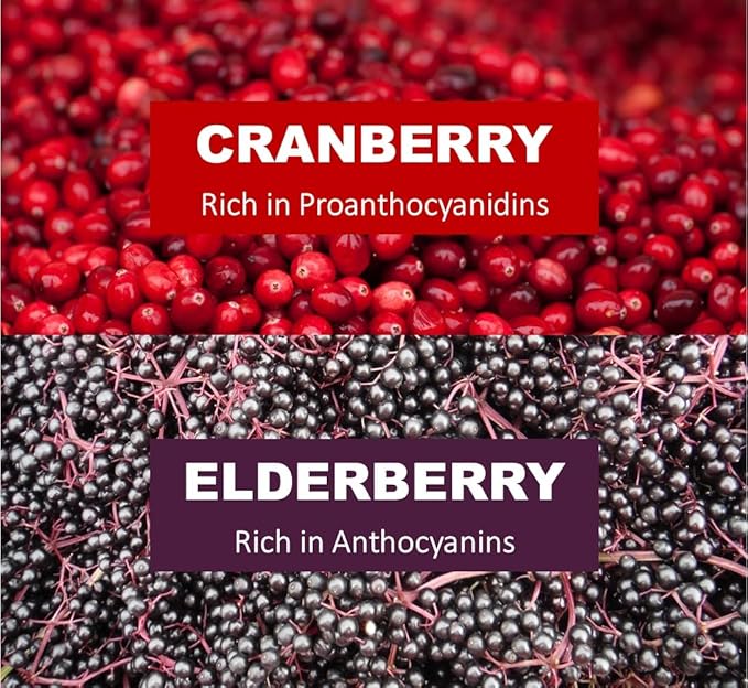 Immunia Urinary Health. Cranberry & Elderberry Concentrate for The Prevention of Urinary Infections. Natural. Delicious. 5 ml/Day. (1-Pack)