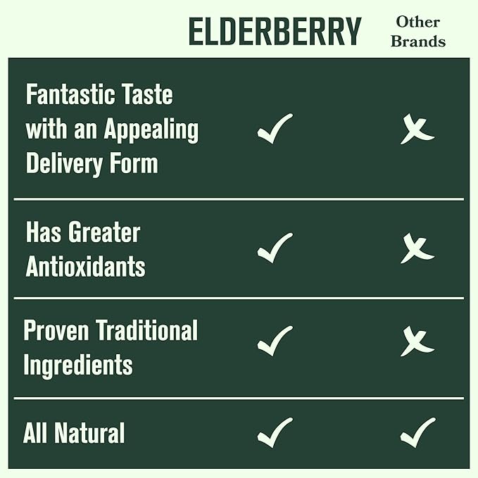 Betterbrand BetterLungs Elderberry Tincture Dietary Supplement - All Natural Sugar-Free Non-GMO Vegetarian for Winter Immune Support (30 Day)