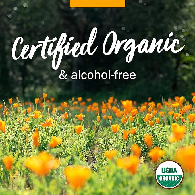 Herb Pharm Certified Organic Angelica Root Liquid Extract for Digestive Support, 1 Fl Oz (Pack of 2)