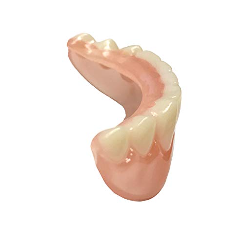 Instant Smile Professional Cosmetic Lower Teeth - New from Hand crafted detail, custom fit at home!