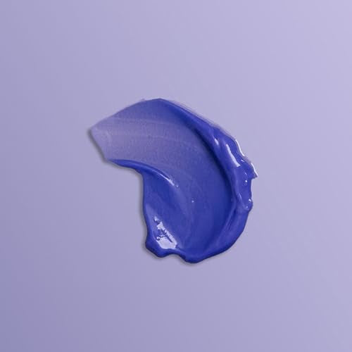 Goldwell Dualsenses Blondes & Highlights Anti-Yellow Conditioner