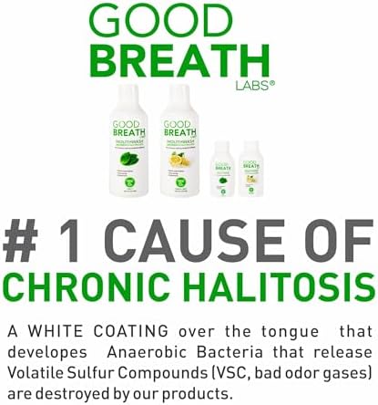 Goodbreath Mouthwash - Mint Mouth Rinse for Chronic Halitosis - New Ozone Technology Oral Rinse - Halitosis Treatment & Bad Breath Neutralizer - Mouthwash for Gum Diseases - Alcohol-Free | 16 Oz