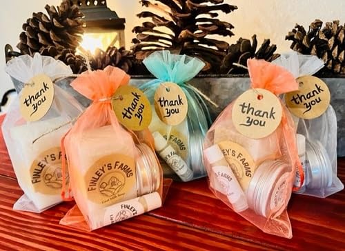 Goat's Milk Soap, Hand Salve, Beeswax Lip Balm Gift Set (Oatmeal and Honey)