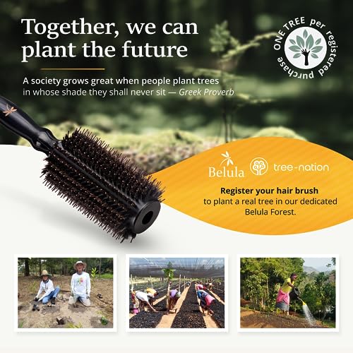 Belula Boar Bristle Round Brush for Blow Drying Set. Round Hair Brush With Large 2.7” Wooden Barrel. Hairbrush Ideal to Add Volume and Body. Free 3 x Hair Clips & Travel Bag.