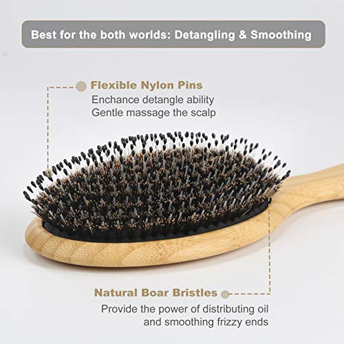 BESTOOL Hair Brush (Regular & Small), Boar Bristle Hair Brushes for Women Men Kids Thick Fine Curly Hair, Hairbrush for Detangling, Soften & Silky Shine